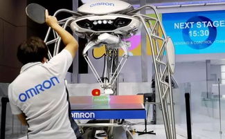 聚焦進(jìn)博會(huì) 三成參展企業(yè)來自“一帶一路”沿線，共繪經(jīng)貿(mào)合作新圖景